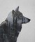 Winter Wolf Poster Print by Davies Babies - Item # VARPDXD1001D